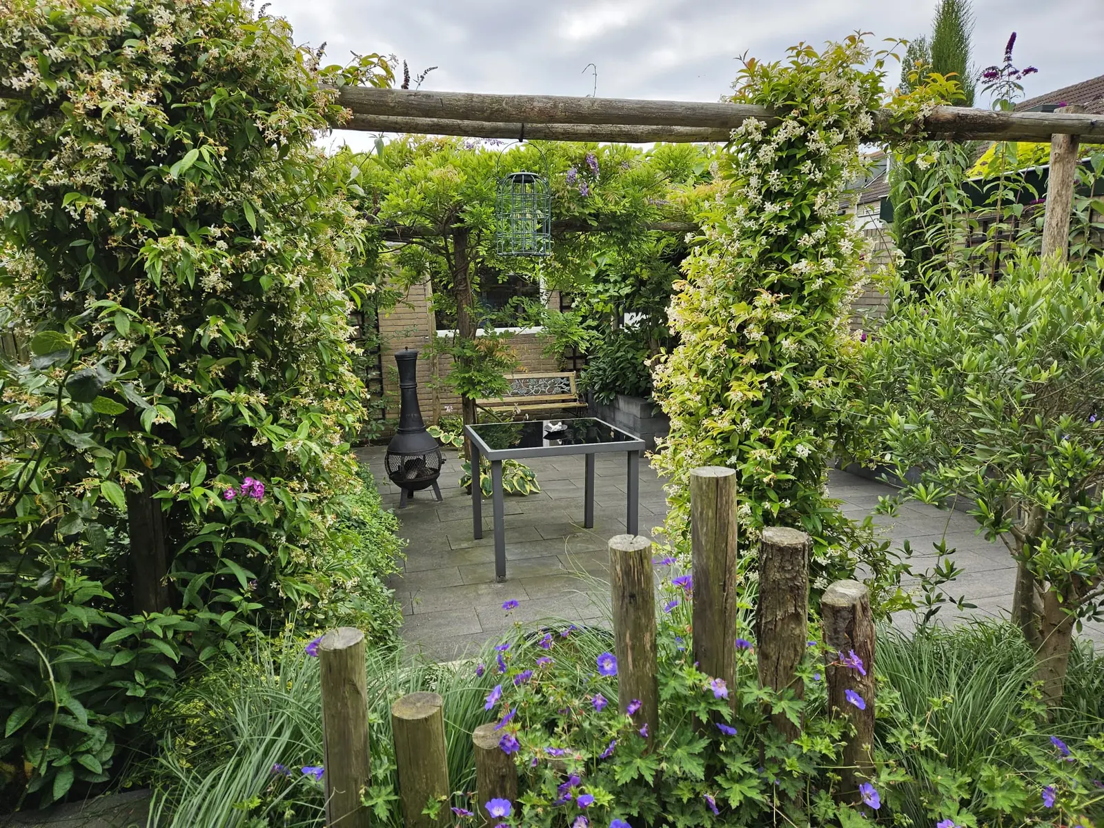 Aangelegde tuin met houten pergola, bestrating en klimplanten