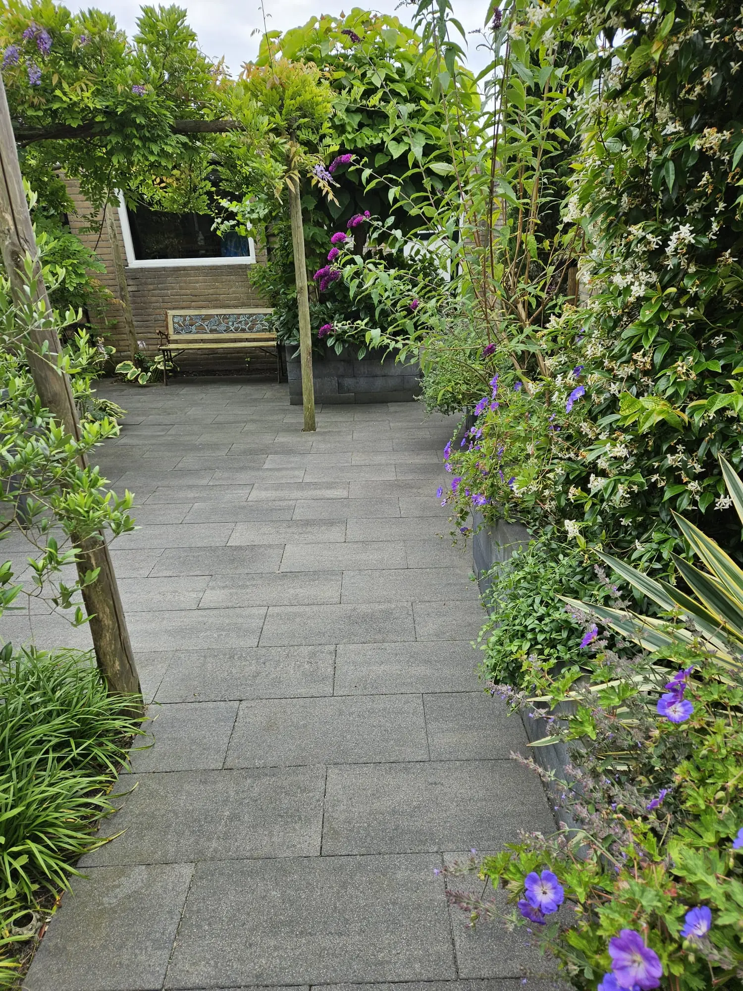 Tuinpad van donkere tegels tussen de beplanting