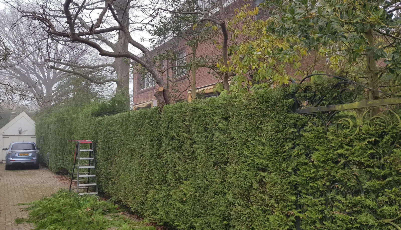Strak geknipte heg na tuinonderhoud